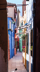 Fototapeta na wymiar picturesque row of colorful houses in a narrow alley of Burano, islands of the Venetian lagoon.Italy