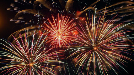 Fireworks in the sky
