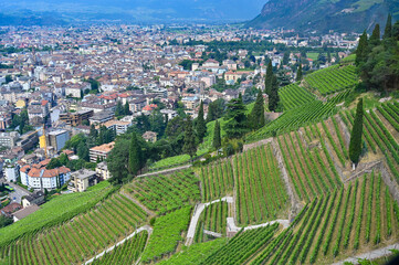 Fototapeta na wymiar Italy South Tyrol Bolzano Town