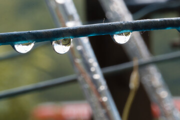 water drops on a fence