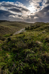 Töwerland - die Landschaft der Nordseeinsel Juist