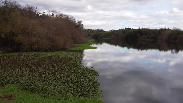 Pond River 4K 04