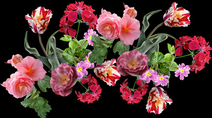 Obraz na płótnie Canvas Beautiful flowers for print 