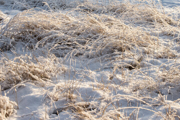 A rural grass field covered with a thick white blanket of snow