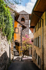 Saint-Saphorin,  Lavaux, Genfersee, Weinberge, Dorf, Winzerdorf, Kirche, See, Seeufer, Wanderweg, Weinberg-Terrassen, Weinbauer, Frühling, Waadt, Schweiz