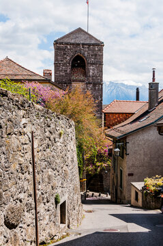 Saint-Saphorin, Kirche, Dorf, Lavaux, Genfersee, Weinberge, Winzerdorf, See, Seeufer, Wanderweg, Weinberg-Terrassen, Weinbauer, Fr&uuml;hling, Waadt, Schweiz