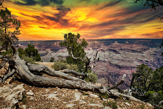 Aussicht auf den Grand Canyon im Norden des US-Bundesstaats Arizona