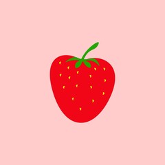 strawberry fruit illustration