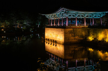 Obraz premium 한국 경주에 있는 의림지 야경사진