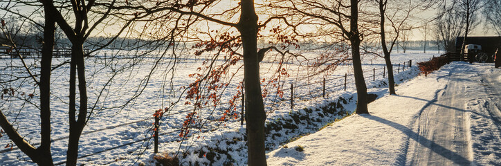 Winter in the Netherlands. Snow. Lane. Panorama. Chesnut trees. Haakswold Ruinerwold Meppel.