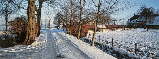 Fototapeta na wymiar Winter in the Netherlands. Snow. Lane. Panorama. Chesnut trees. Haakswold Ruinerwold Meppel.