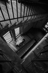 Girl in sweater and skirt on the stairs