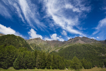 Fototapeta na wymiar Summer Alps Landscape