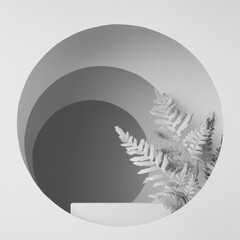 White abstract scene with rectangle podium, white fern leaves, circles frames, arches with...