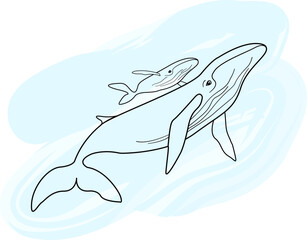 Beautiful vector illustration. A whale and a baby whale. Whales on a blue background.