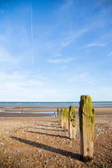 Weather-beaten fence posts stretching out into the ocean