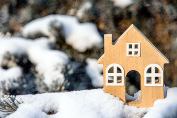 symbol of the house stands on a snow-covered fir branches
