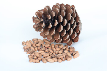 Heap of pine nuts and pine cone isolated on white background.
