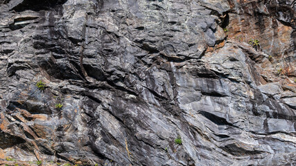 Nature Abstract: Pattern Created by Cracks and Crevices in a Solid Rock Wall