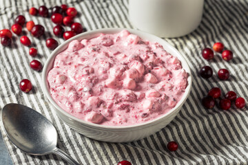 Homemade Christmas Cranberry Salad Dessert