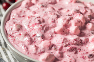 Homemade Christmas Cranberry Salad Dessert