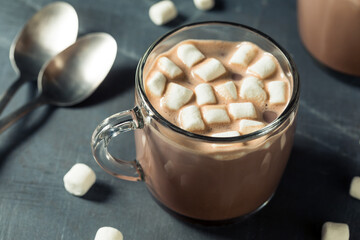 Warm Chocolate Hot Cocoa with Marshmallows