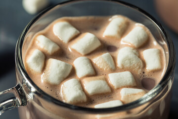 Warm Chocolate Hot Cocoa with Marshmallows