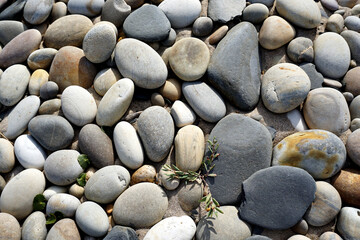 Pebbles stones on the seaside