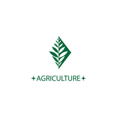 farm logo diamond leaf abstract design vector template