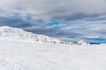 Fototapeta na wymiar Beautiful Winter Snowy Mountain Landscape from Bulgaria ,Vitosha Mountain