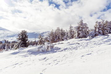 Beautiful Winter Snowy  Mountain Landscape from Bulgaria ,Vitosha  Mountain