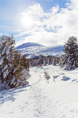 Beautiful Winter Snowy  Mountain Landscape from Bulgaria ,Vitosha  Mountain