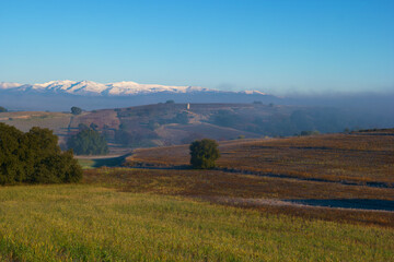 Naklejka premium krajobraz drzewa góry niebo błękit widok natura