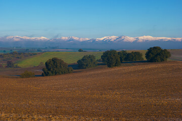 Fototapeta premium krajobraz drzewa góry niebo błękit widok natura