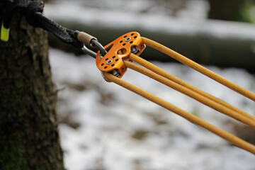 tree felling with chainsaw and wedges