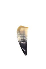 Isolated photos of a Buffalo Horn hair comb