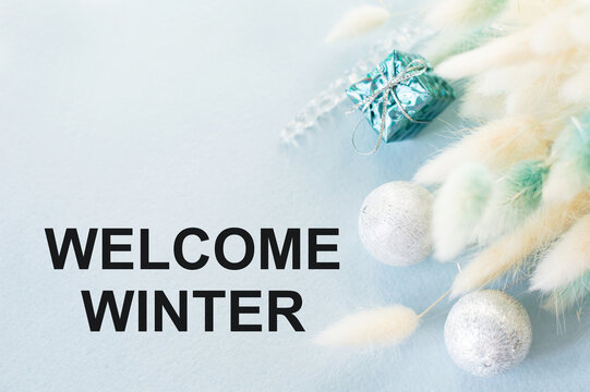 Welcome winter text on a blue background silver balls and fluffy branches of dried flower