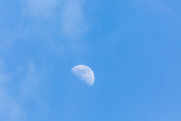 Moon