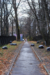fallen leaves in black bags on - cleaning the territory on the streets of Moscow