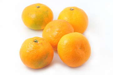 tangerine group on white background