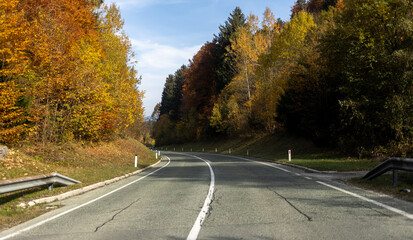 driving on asphalt road in autumn yellow forest