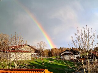 rainbow over the river