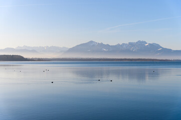 Obraz na płótnie Canvas Calm Chiemsee in winter with ducks mountains and clear sky fog