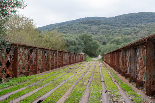 Viejo puente de hierro, sobre el río Palmones, en la carretera forestal del Valle de Ojén, antigua carretera Barrios-Facinas, provincia de Cádiz, España.