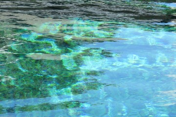 Transparent turquoise lake water surface in Florida nature