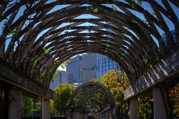 View of weaved wooden arched tunnel in the city of Boston