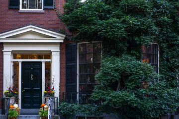View of a front door to an apartment building. Windows with shutters and brick wall. Trees and plants on the stoop