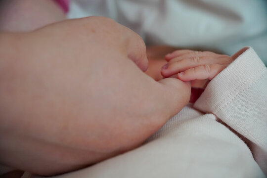 The hand of a mother and a newborn baby. The palm holds the finger. close up view macro closeup. High quality photo