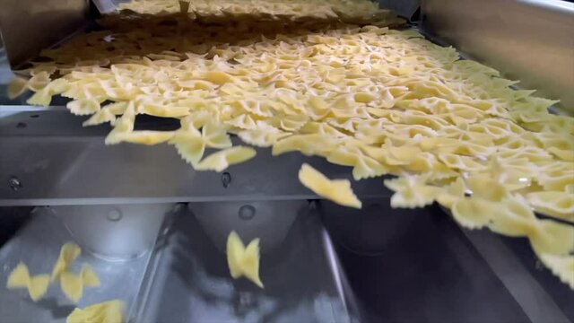 Shaking conveyor belt moves on just made dry pasta through factory line next to the packing department. Full cycle process of pasta industrial producing on modern food factory
