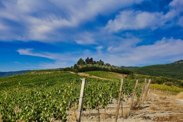 natural landscape of tuscany, villa on the hill among vineyard